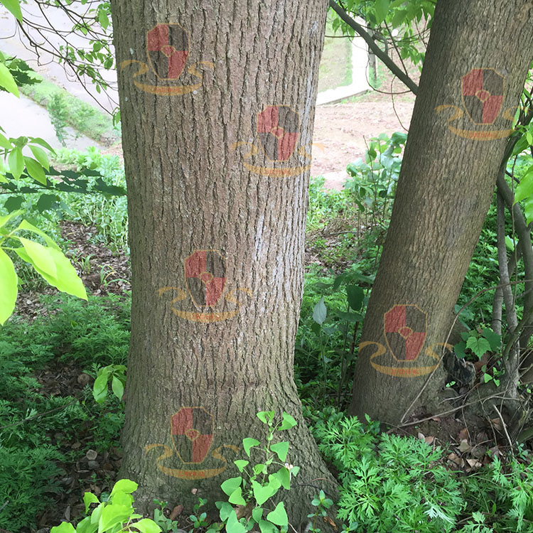 1453186099137013.jpg IMG_0464.jpg