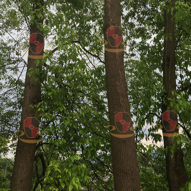 1453186101129000.jpg IMG_0463.jpg